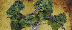 Portada-Arbol-Bosque-Wood-Forest-Tree-Scenery-Escenografía-Warhammer-Mordheim-03